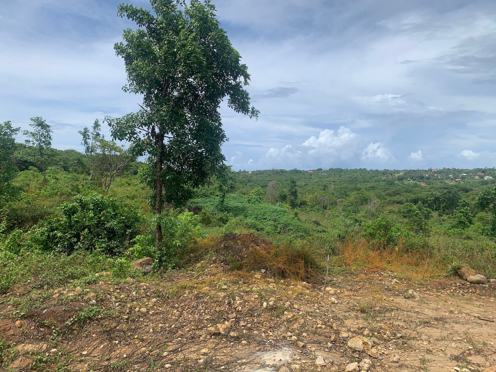 Multiple Lots of Land For Sale In Dugard Ridge Micoud