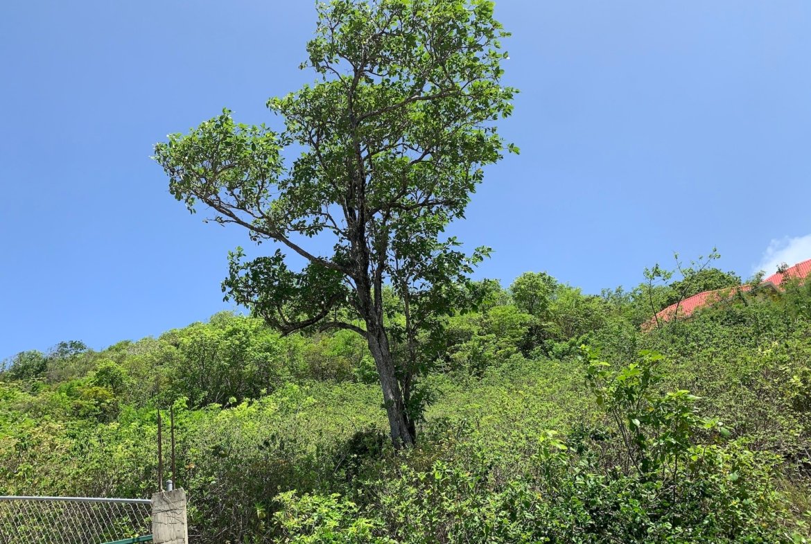 Ocean View Land For Sale in Cas-en-Bas