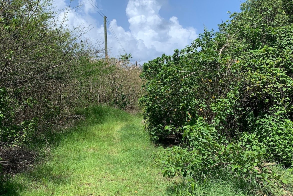 Ocean View Lot For Sale in Cas-en-Bas