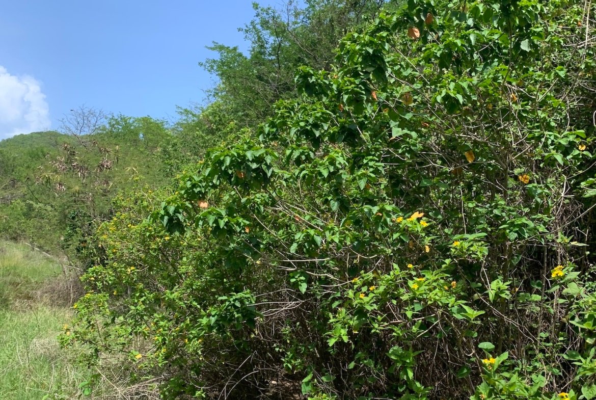 Ocean View Lot For Sale in Gros-Islet