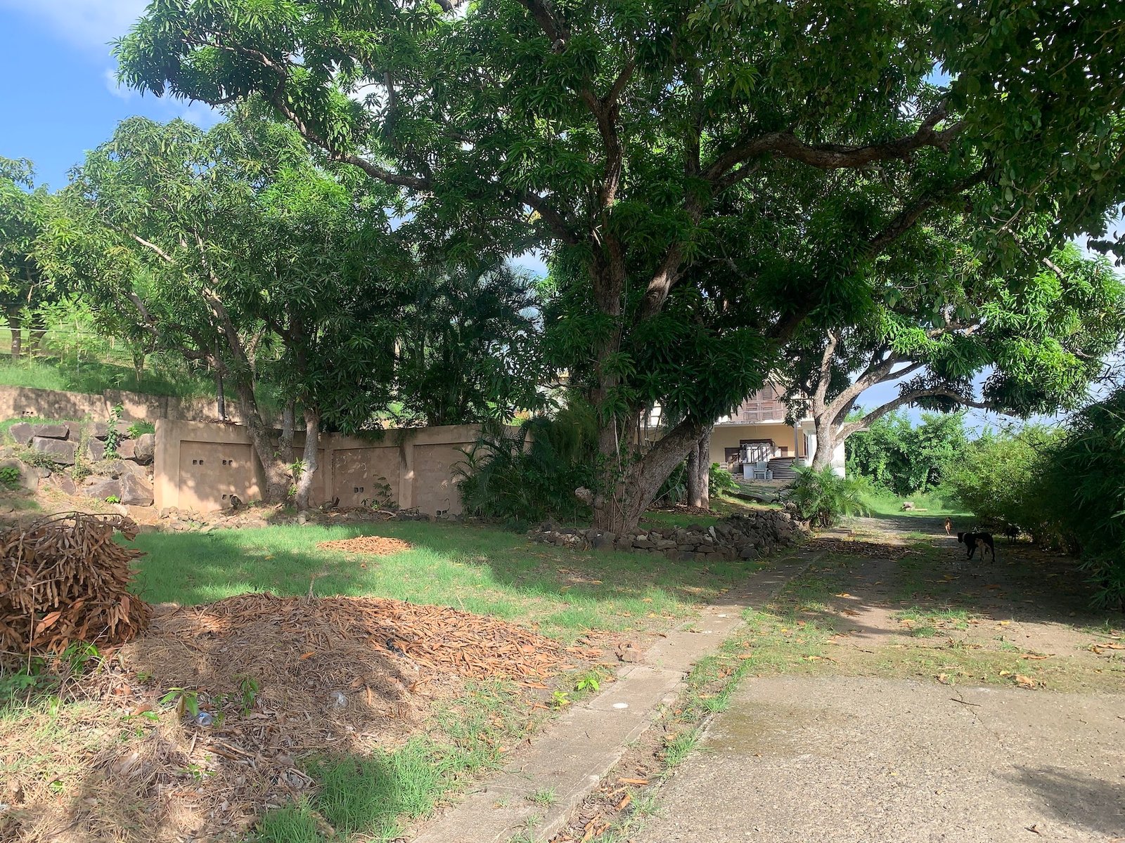 Front of Home and Mixed-Use Land for Sale in Gros Islet
