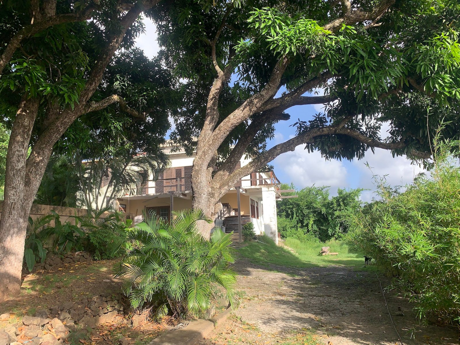 Home and Mixed-Use Land for Sale in Gros Islet
