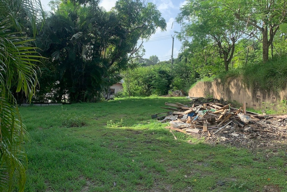 Land of Home and Mixed-Use Land for Sale in Gros Islet