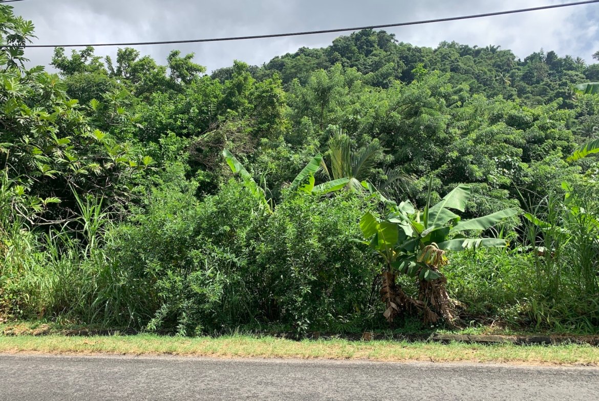 23 Acres of land in Soufriere, St. Lucia