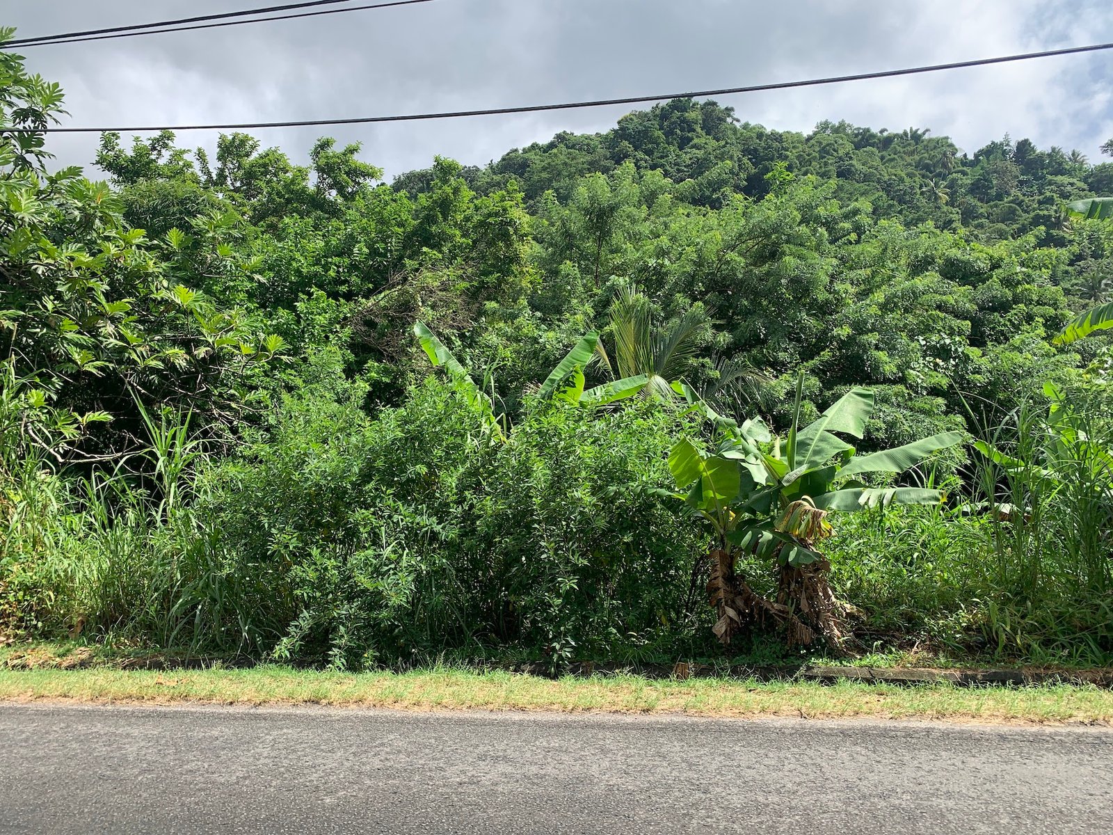 23 Acres of land in Soufriere, St. Lucia