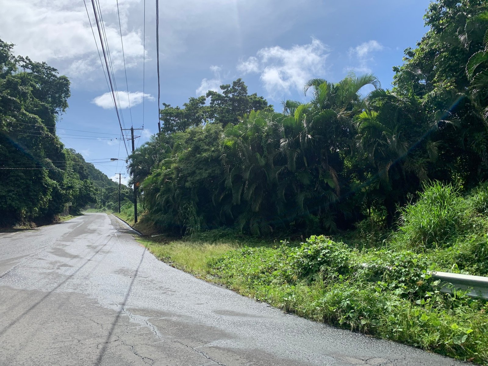 23 Acres of land in Saint Lucia