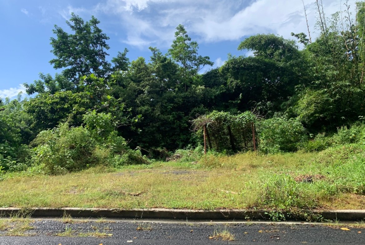 Investment - 23 Acres of land in Saint Lucia