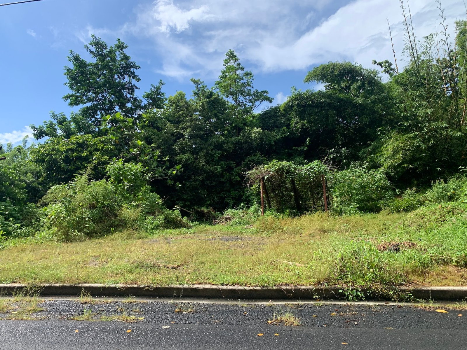 Investment - 23 Acres of land in Saint Lucia