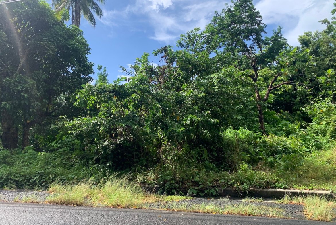 Investment - 23 Acres of land in St Lucia