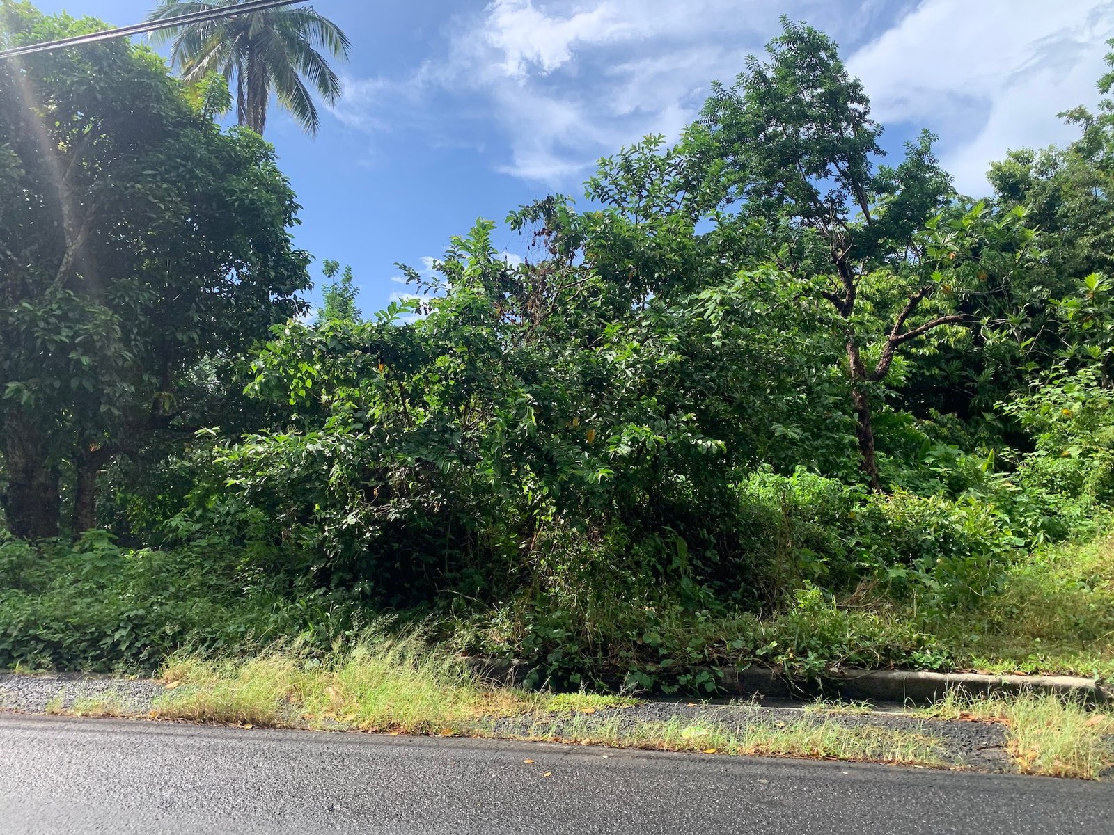 Investment - 23 Acres of land in St Lucia