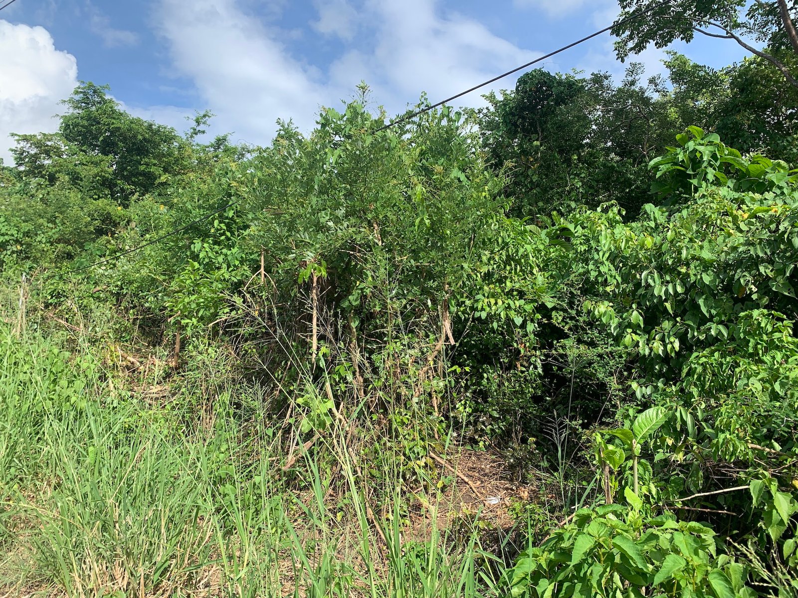 Residential Land For Sale In Laborie, Saint Lucia