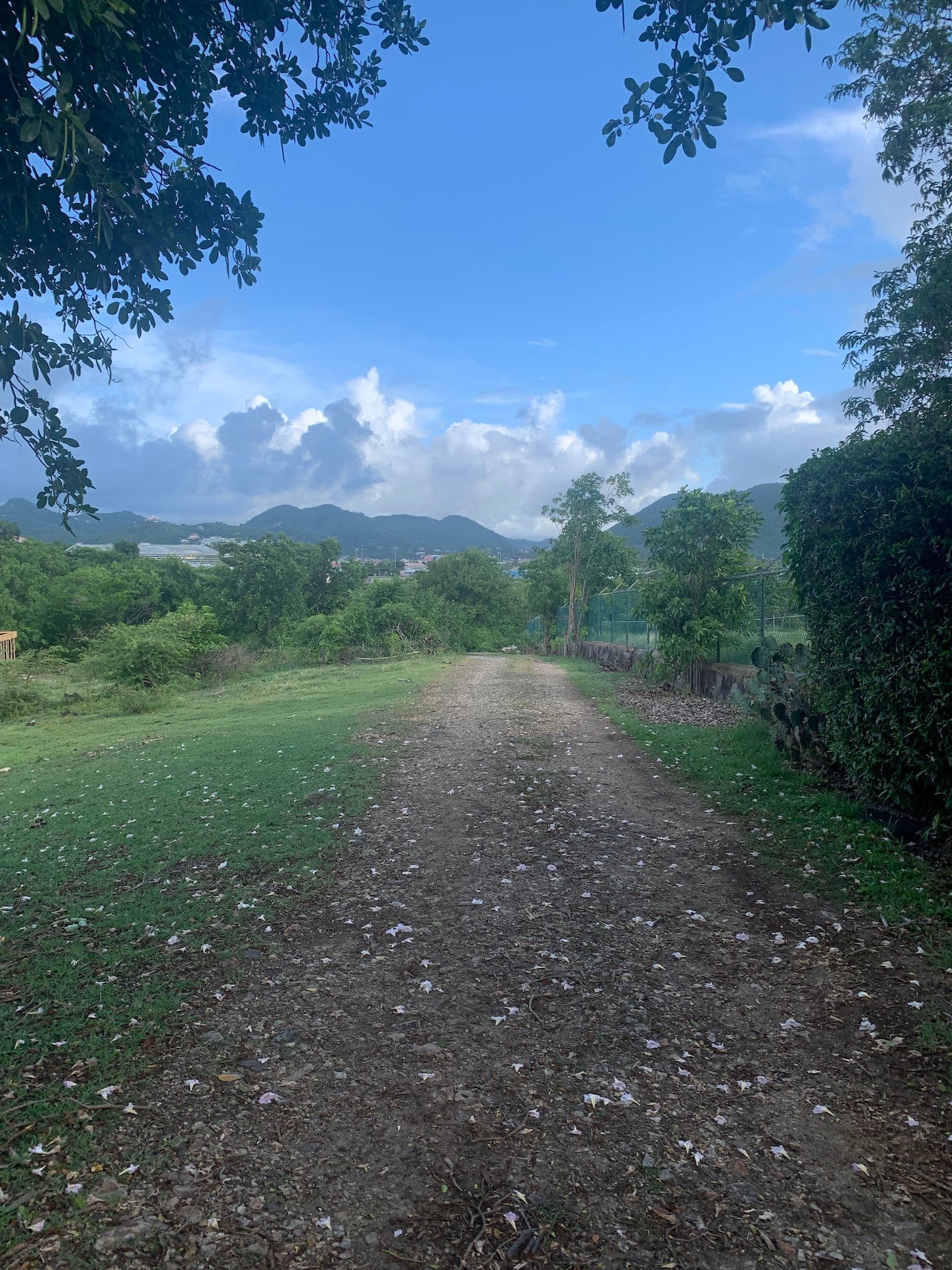 Twin lots For Sale - Belle Vue, Gros-Islet