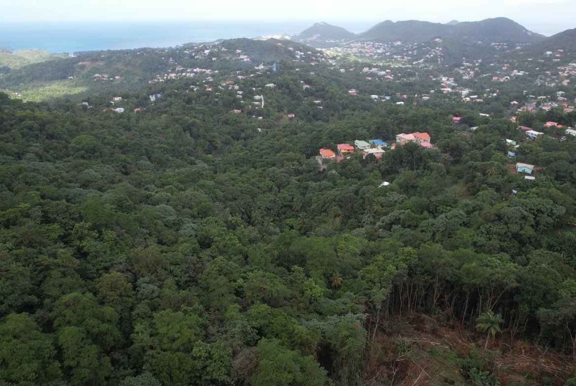 Land and Development Plans and Permits for Sale 2