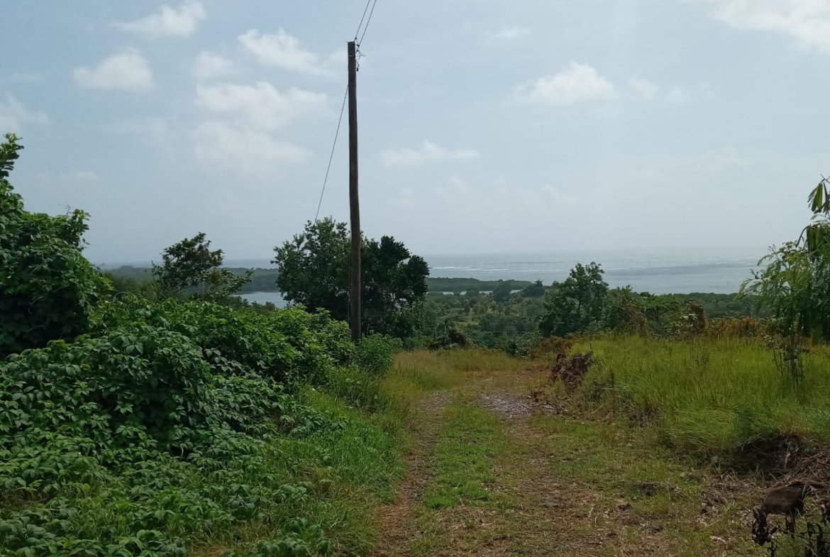 Land of Home for Sale in Savannes Bay