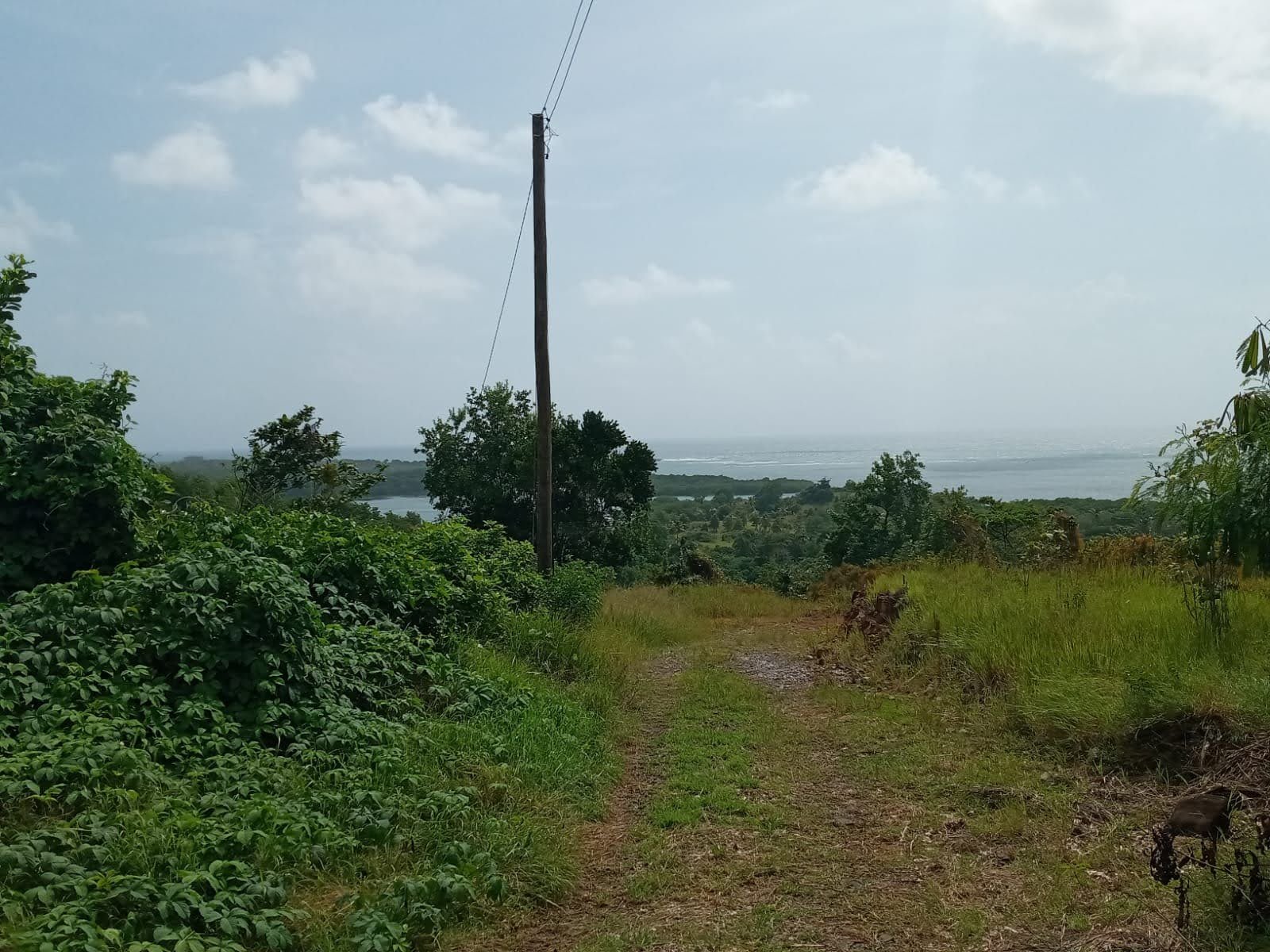 Land of Home for Sale in Savannes Bay