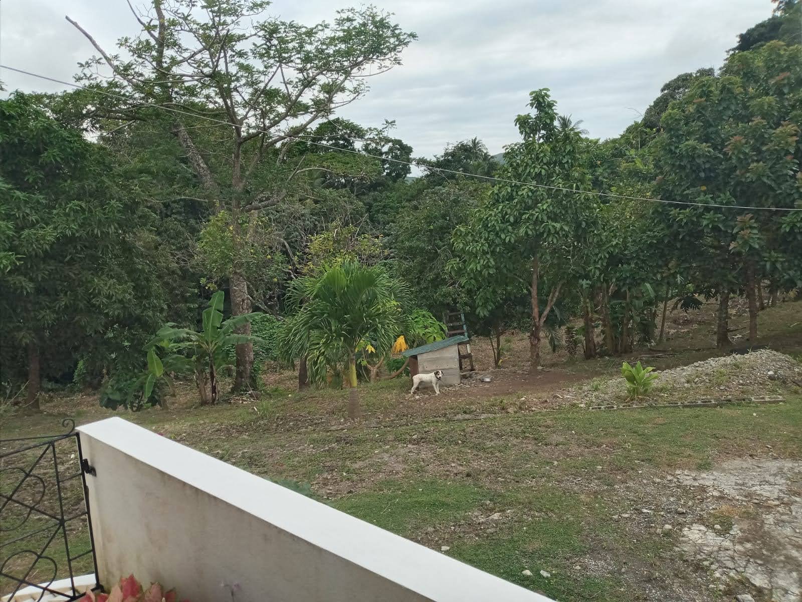 Yard of Home for Sale in Augier, Laborie Saint Lucia