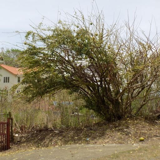 Land with Great View for Sale in Monchy, St Lucia