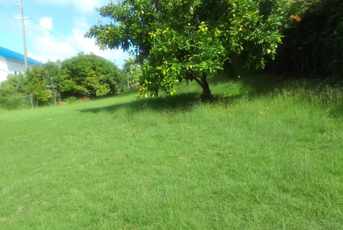 Yard of Perfectly Located Home For Sale In Rodney Bay