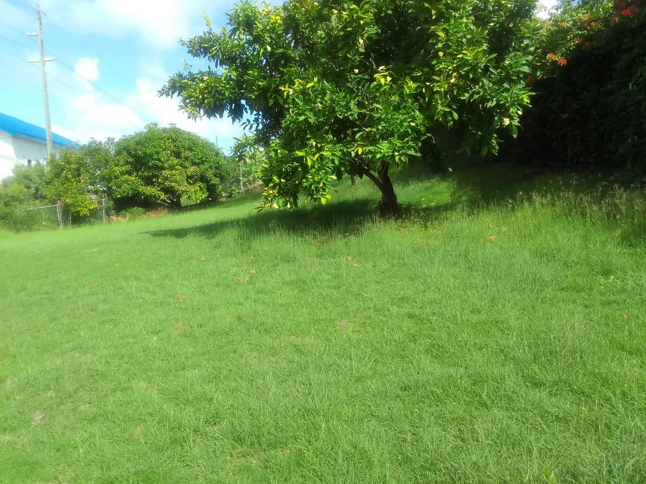 Yard of Perfectly Located Home For Sale In Rodney Bay