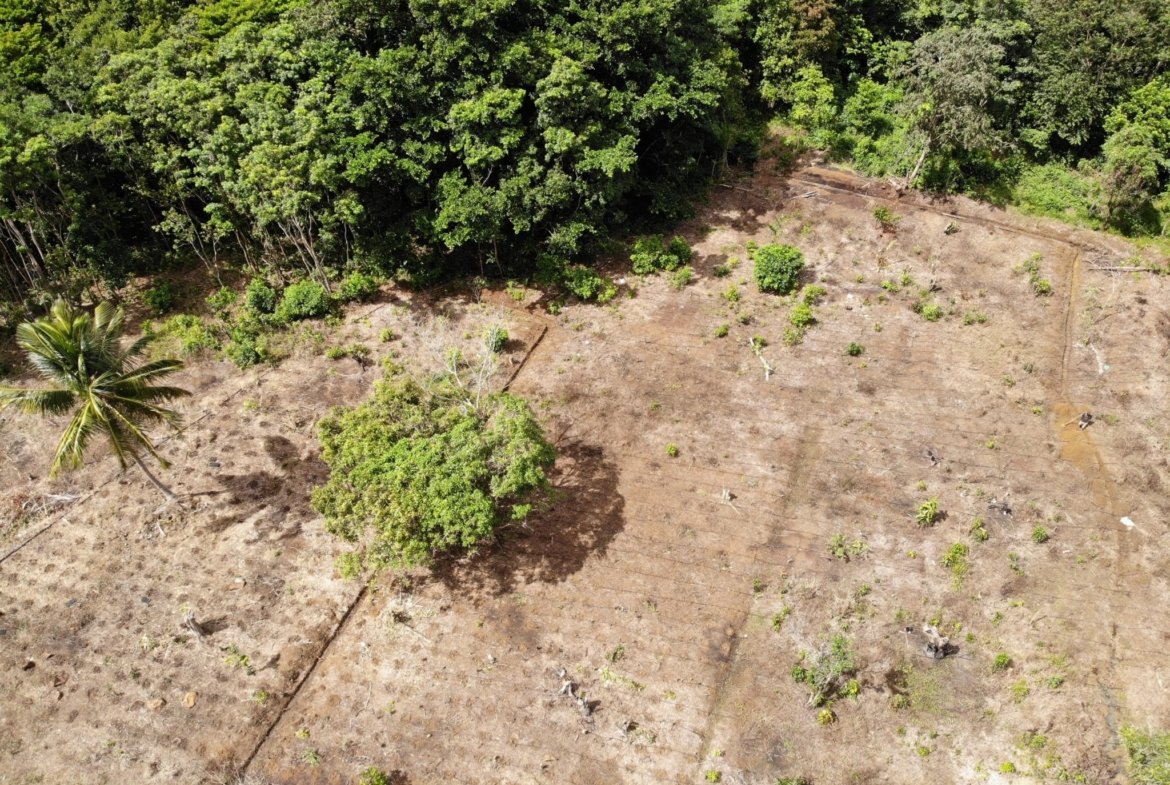 Land for Sale In Des Barras 2