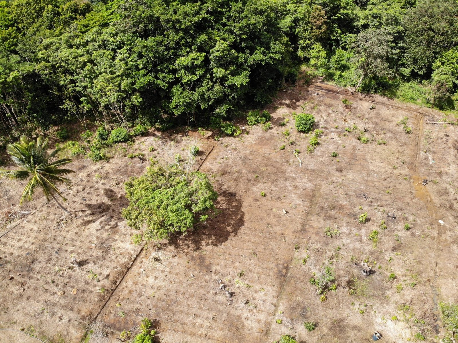Land for Sale In Des Barras 2