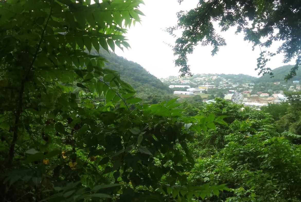 Land For Sale Overlooking Bois D'Orange, Gros Islet 4