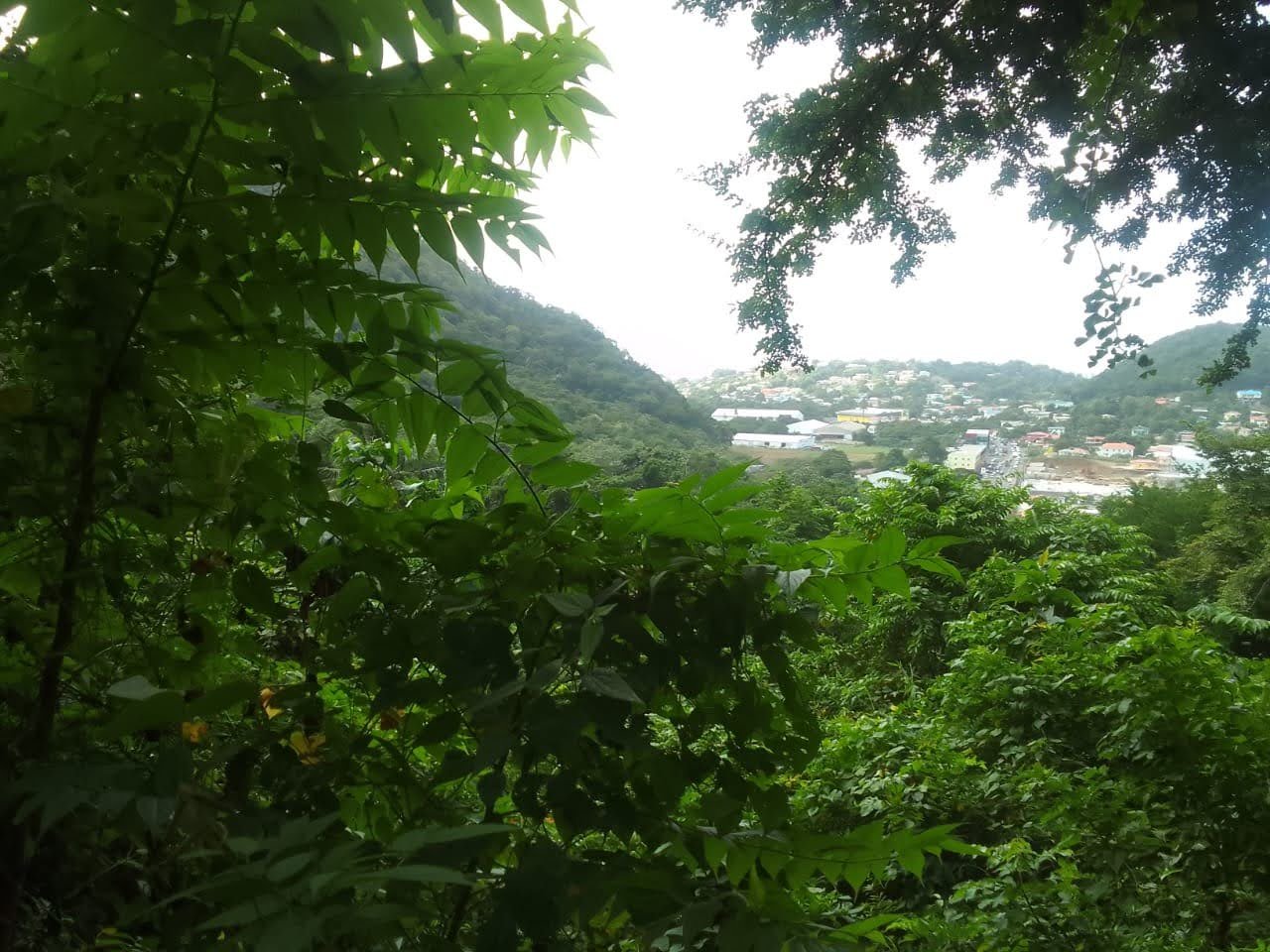 Land For Sale Overlooking Bois D'Orange, Gros Islet 4
