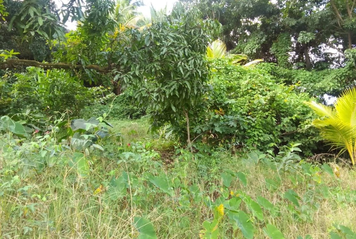 Land For Sale In Quiet Neighbourhood in Anse La Raye, Saint Lucia