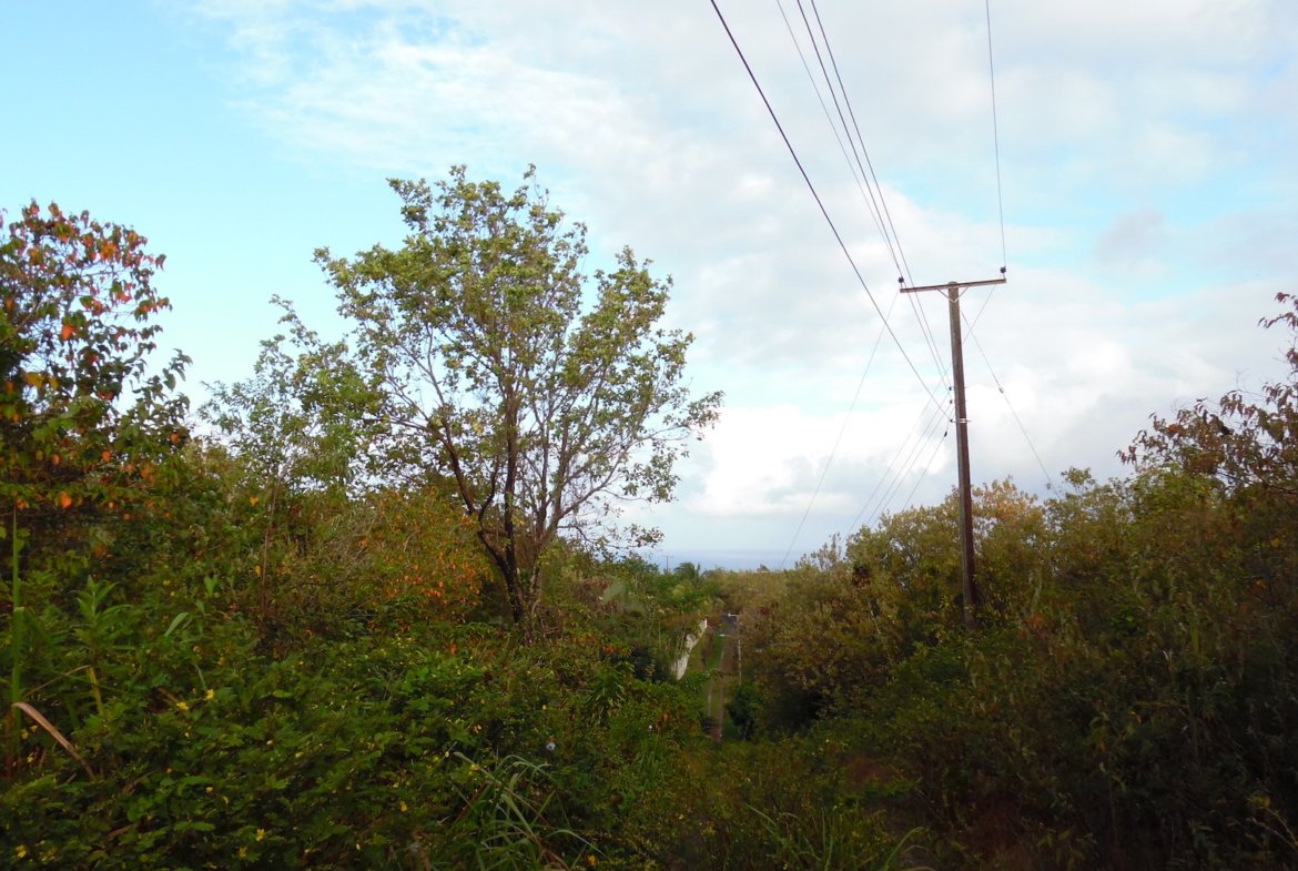 Development Land for sale in Anse La Raye