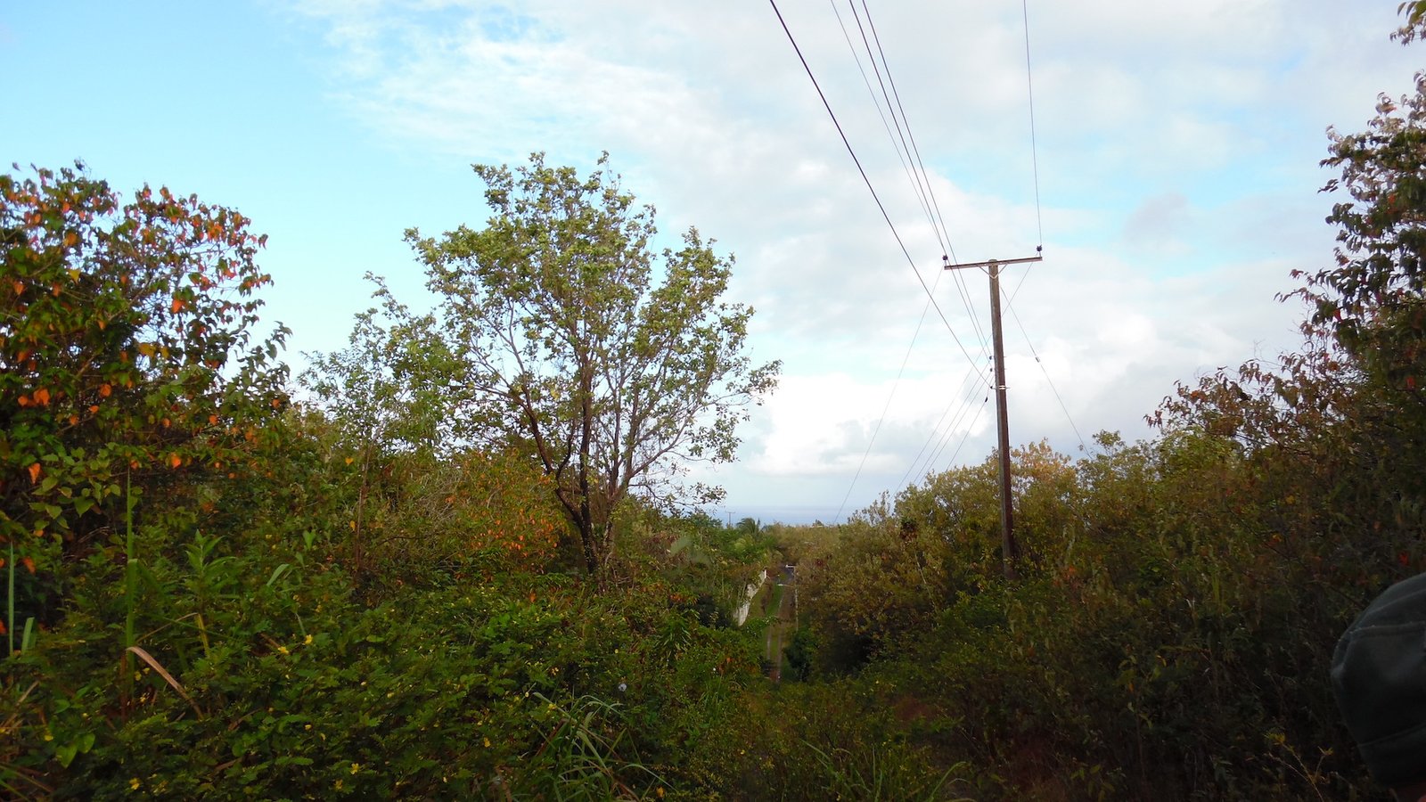 Development Land for sale in Anse La Raye