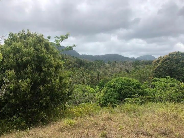 Development Property for Sale In Des Barras 2