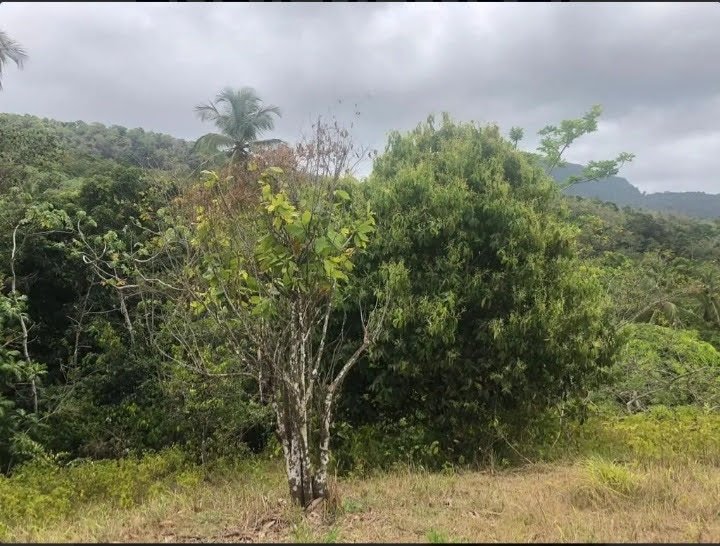 Development Property for Sale In Des Barras