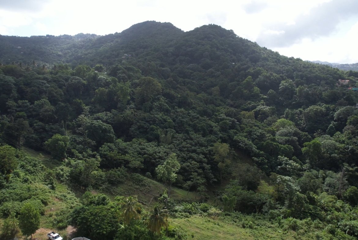 12 Acres of Land for Sale - Real Estate Development 8