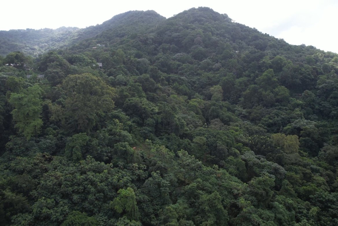 12 Acres of Land for Sale - Real Estate Development 7