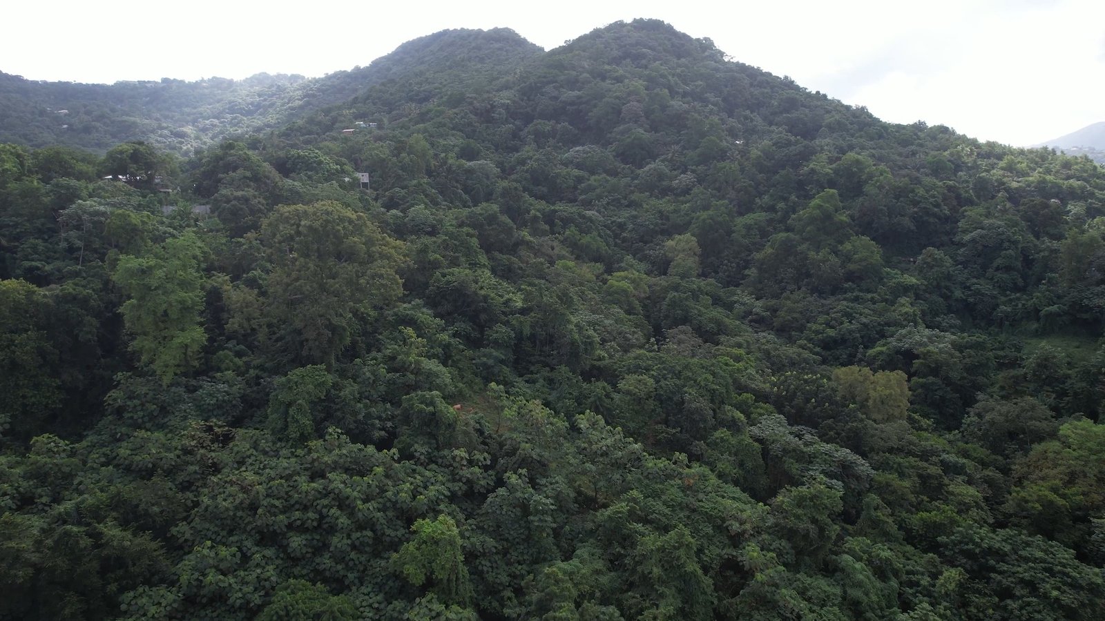 12 Acres of Land for Sale - Real Estate Development 7