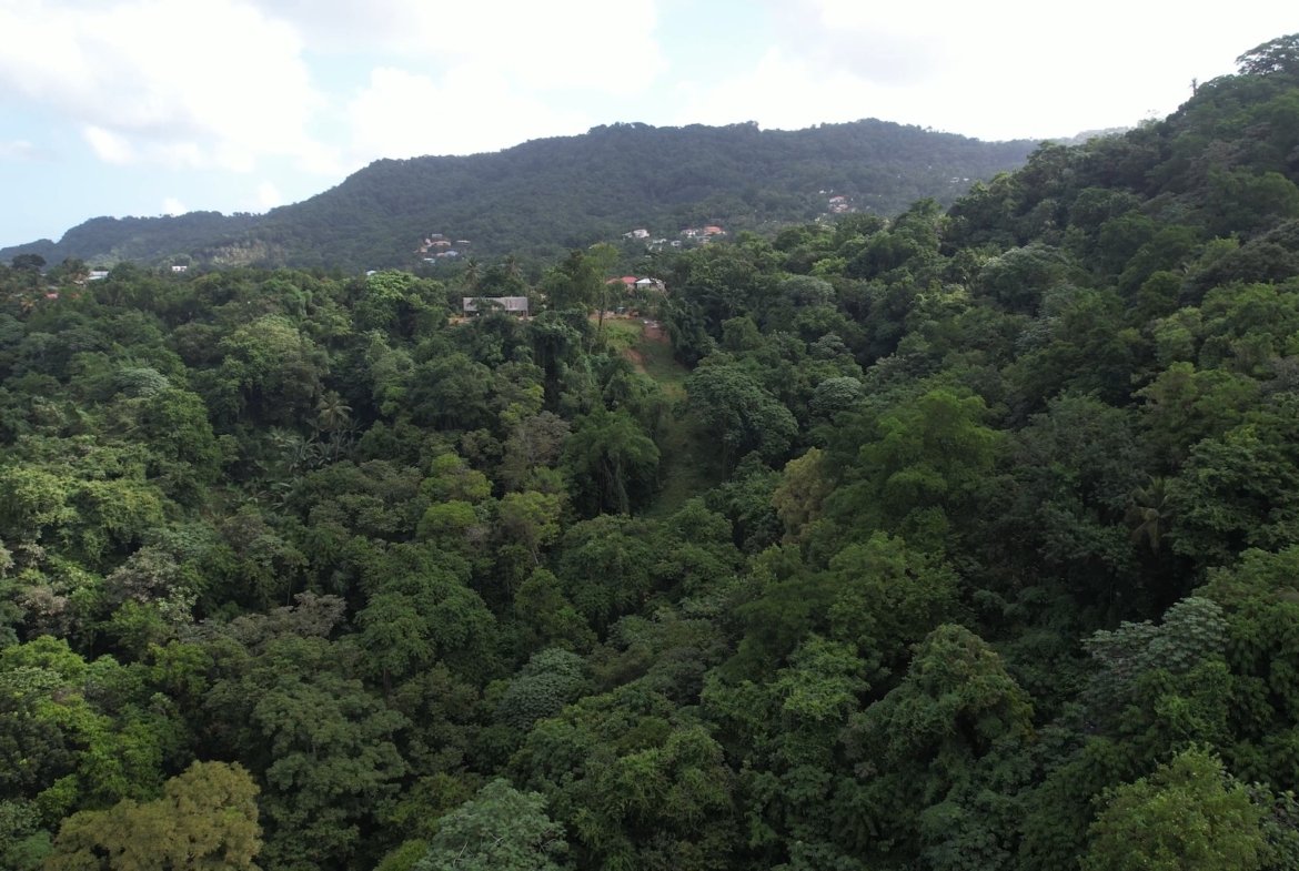 12 Acres of Land for Sale - Real Estate Development 6