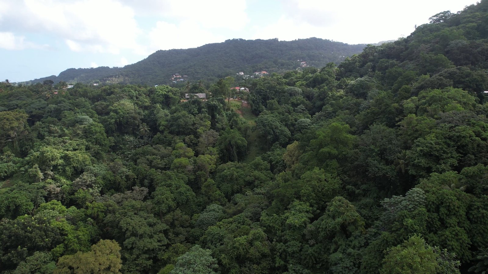 12 Acres of Land for Sale - Real Estate Development 6