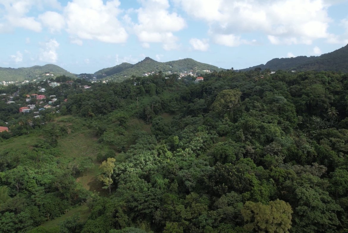 12 Acres of Land for Sale - Real Estate Development 5