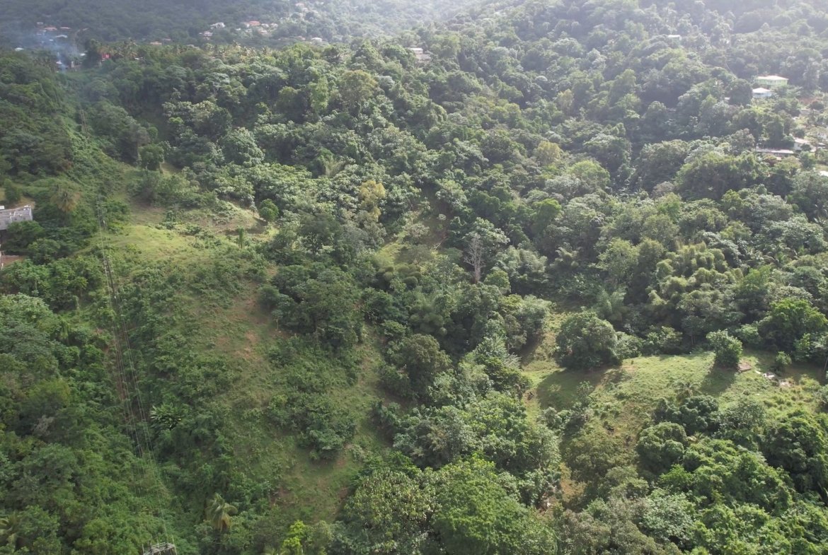 12 Acres of Land for Sale - Real Estate Development 3