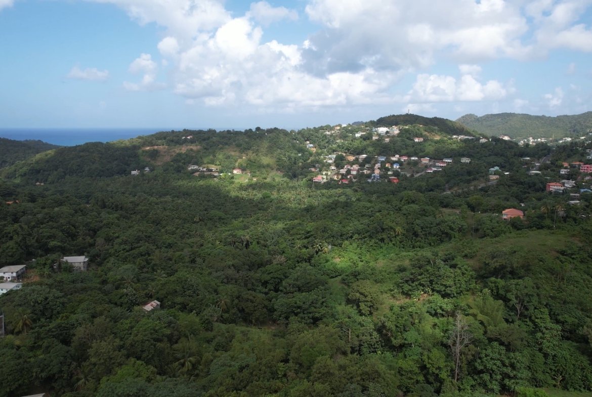12 Acres of Land for Sale - Real Estate Development