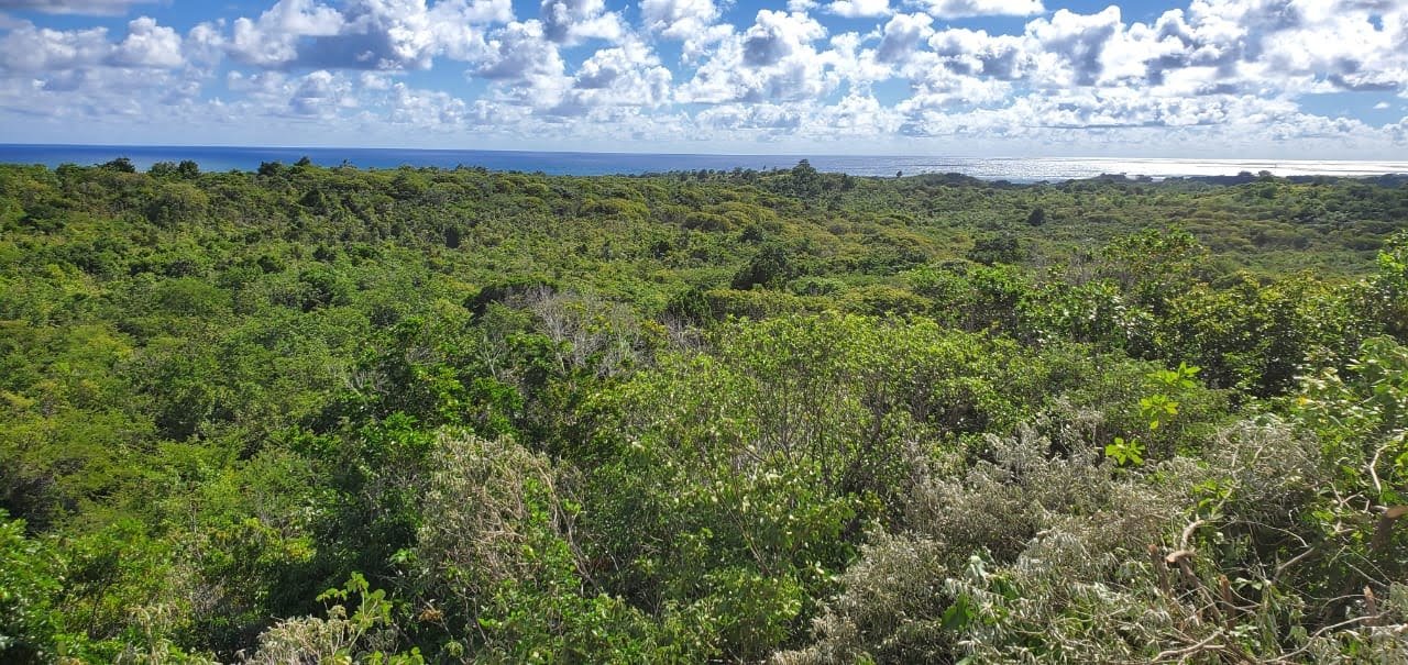 Multiple Lots of Land For Sale In Micoud Saint Lucia