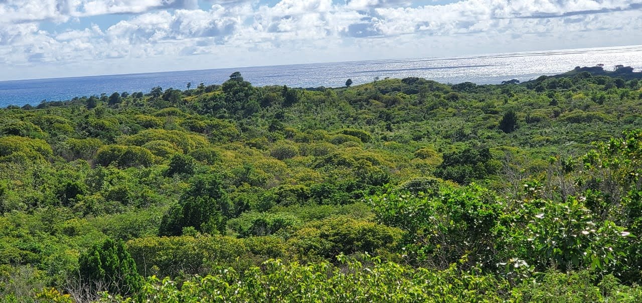 Multiple Lots of Land For Sale In Saint Lucia