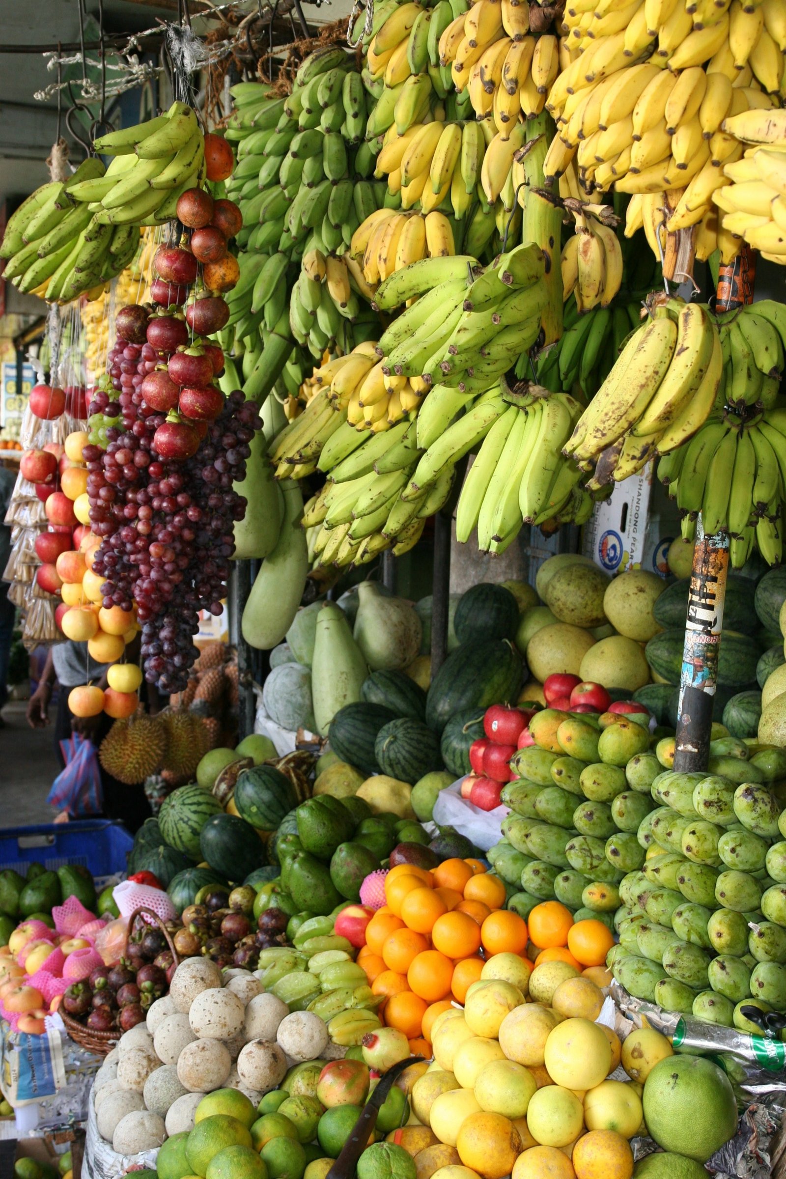 Fruit Stand
