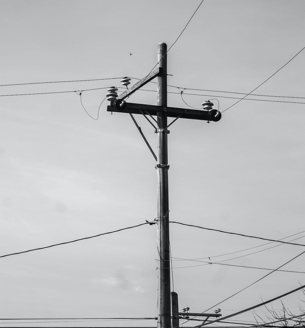 Utility Pole