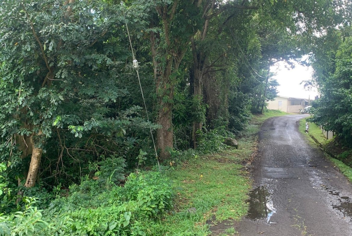 Lot for sale in Morne Fortune - Castries
