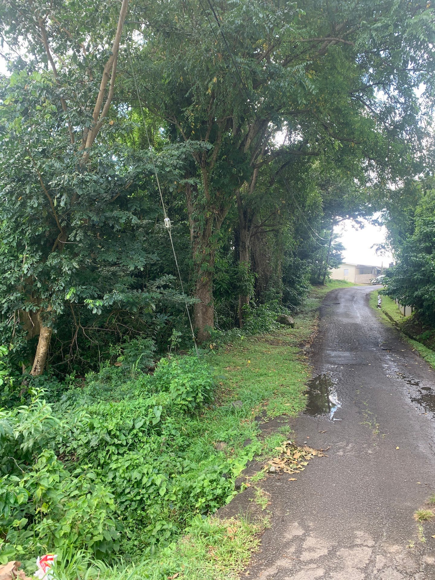 Lot for sale in Morne Fortune - Castries