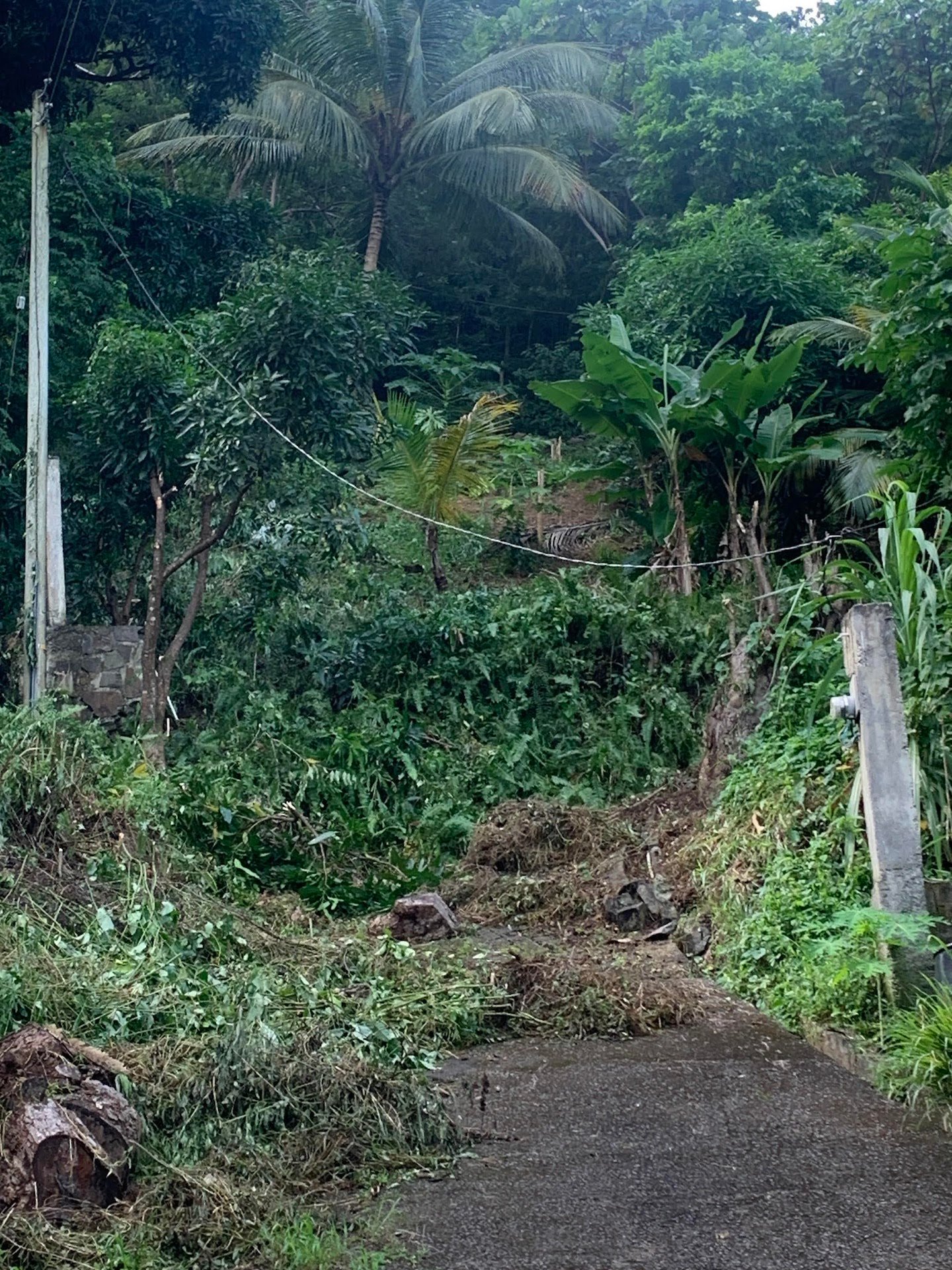 Property for sale with a view in Gros Islet