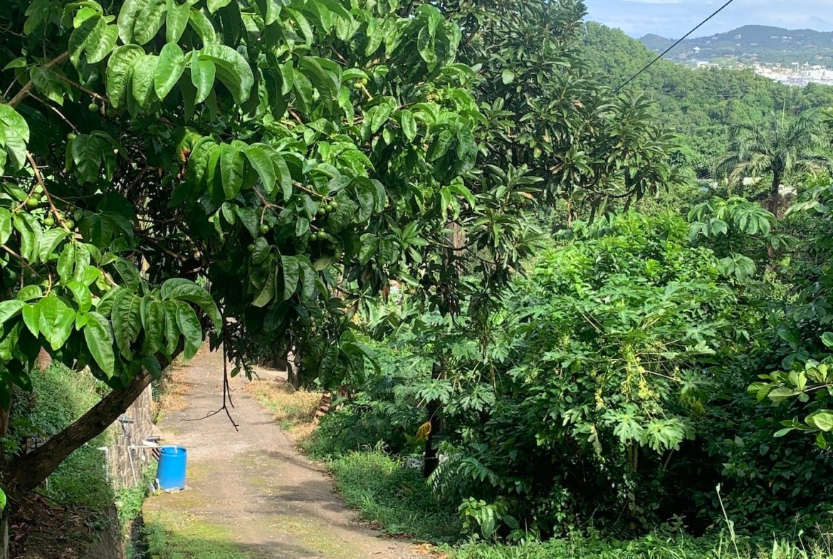 Land for sale with a view in Bois d'Orange Gros Islet