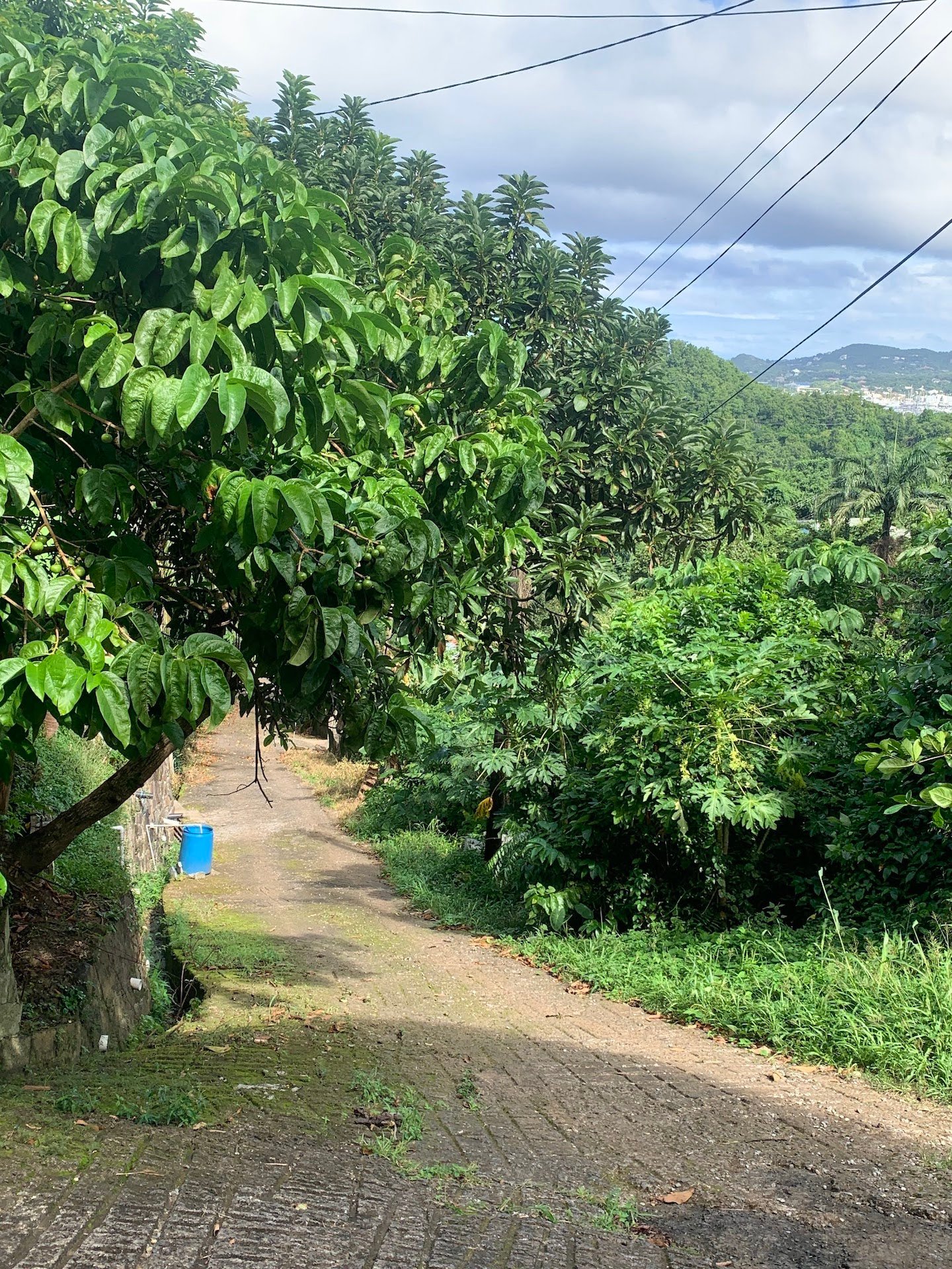 Land for sale with a view in Bois d'Orange Gros Islet