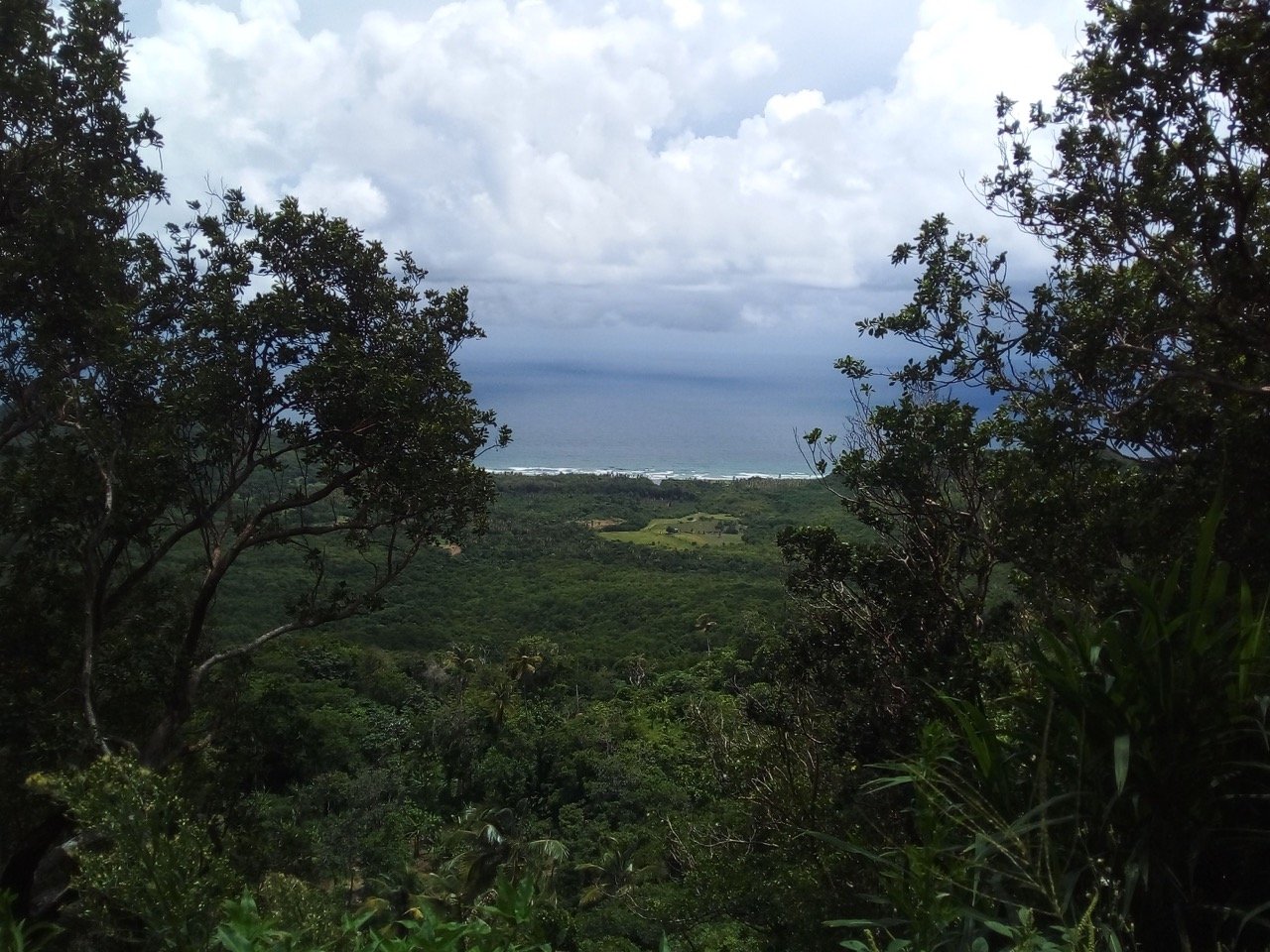Ocean View Land for Development in Grand Anse